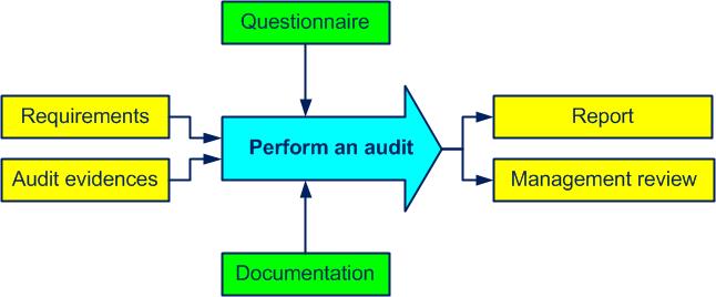 perform an audit